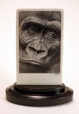 Gorilla portrait on ivory with ebony base