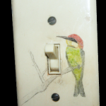 Bee-Eater on lightswitch 2010