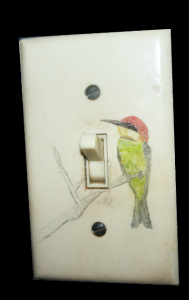 Bee-Eater on lightswitch 2010