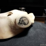 Profile of skull on a deer skullcap