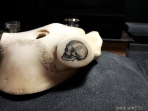 Profile of skull on a deer skullcap