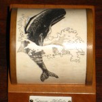 Beautiful breaching sperm whale on mahogany Mystery Artist # 7 on scrimshaw.com
