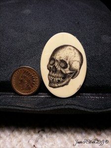 Skull scrimshaw by Jason Webb