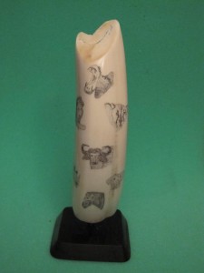 Scrimshaw on Hippo Tusk by Jeff Fozard