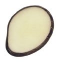 tagua nut slice