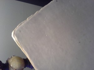 Rounded corner of casein sheet showing slightly rough edge
