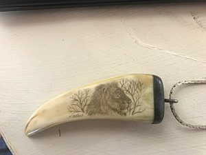 Lion Profile scrimshaw - Mystery Artist 30