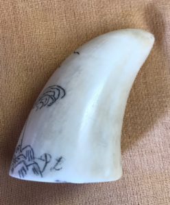 Side of tooth tip with cursive initials "PL"