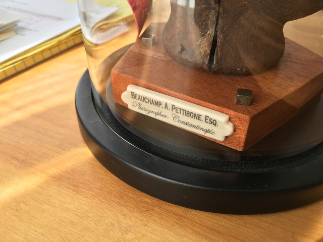 Nameplate and base of a camera under a belljar. Woodwork by Paul Baker, Scrimshaw by Andrew Perkins